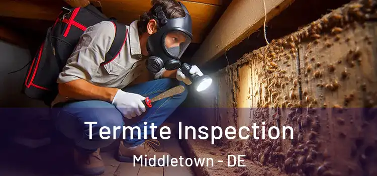  Termite Inspection Middletown - DE