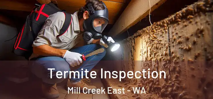  Termite Inspection Mill Creek East - WA