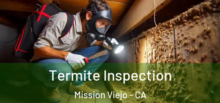  Termite Inspection Mission Viejo - CA