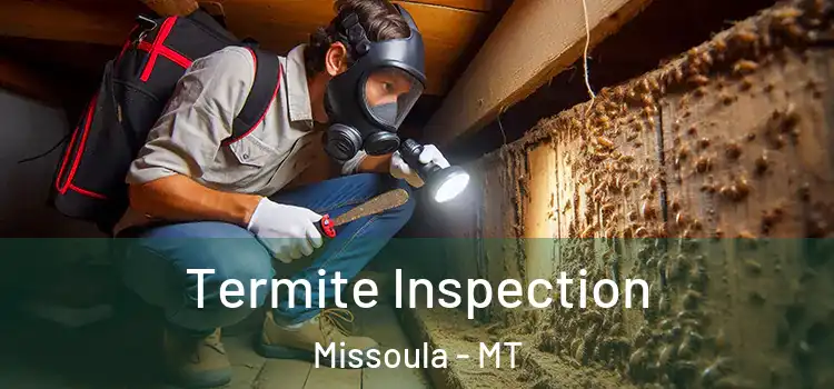  Termite Inspection Missoula - MT
