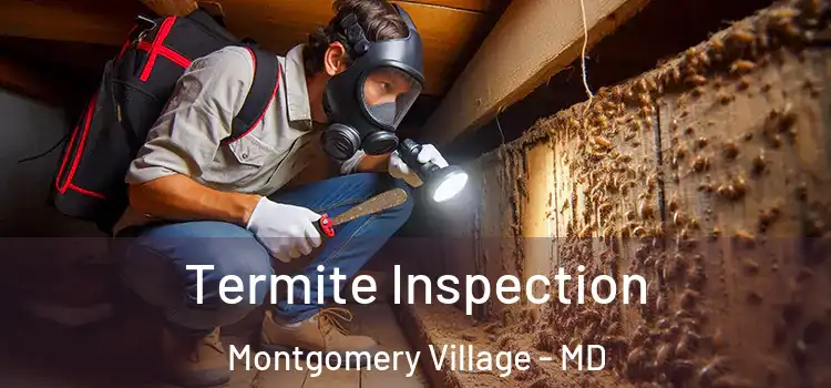  Termite Inspection Montgomery Village - MD
