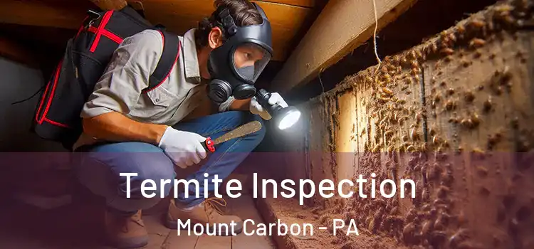 Termite Inspection Mount Carbon - PA