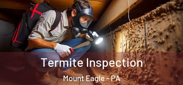 Termite Inspection Mount Eagle - PA