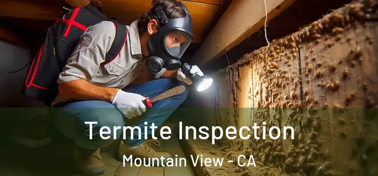  Termite Inspection Mountain View - CA