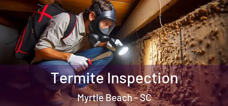  Termite Inspection Myrtle Beach - SC