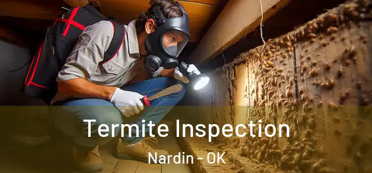 Termite Inspection Nardin - OK