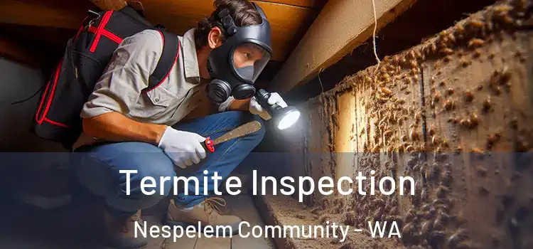  Termite Inspection Nespelem Community - WA