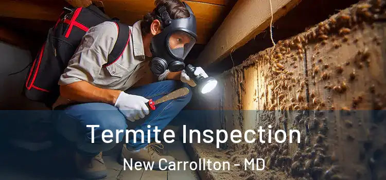  Termite Inspection New Carrollton - MD