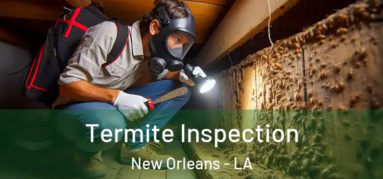  Termite Inspection New Orleans - LA