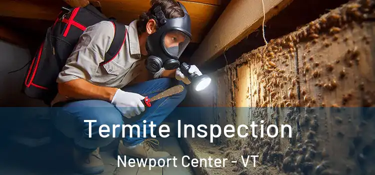  Termite Inspection Newport Center - VT