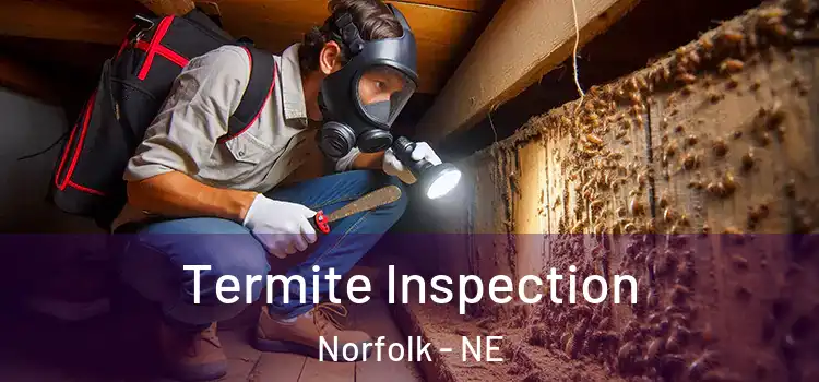  Termite Inspection Norfolk - NE