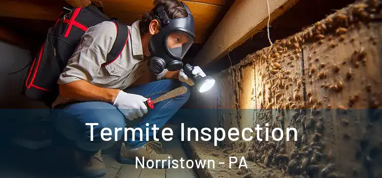  Termite Inspection Norristown - PA