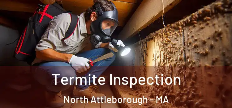  Termite Inspection North Attleborough - MA