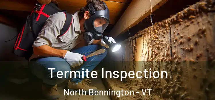  Termite Inspection North Bennington - VT