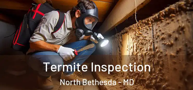  Termite Inspection North Bethesda - MD