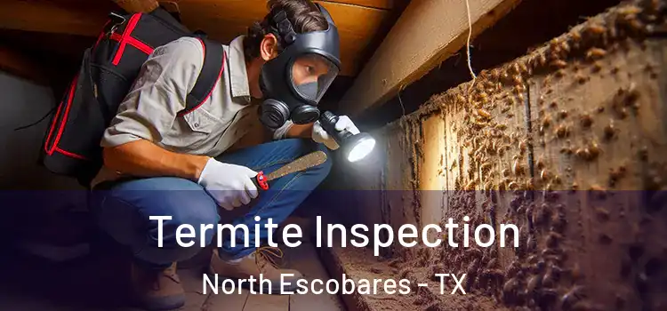  Termite Inspection North Escobares - TX