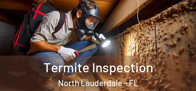  Termite Inspection North Lauderdale - FL