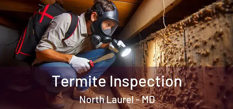  Termite Inspection North Laurel - MD