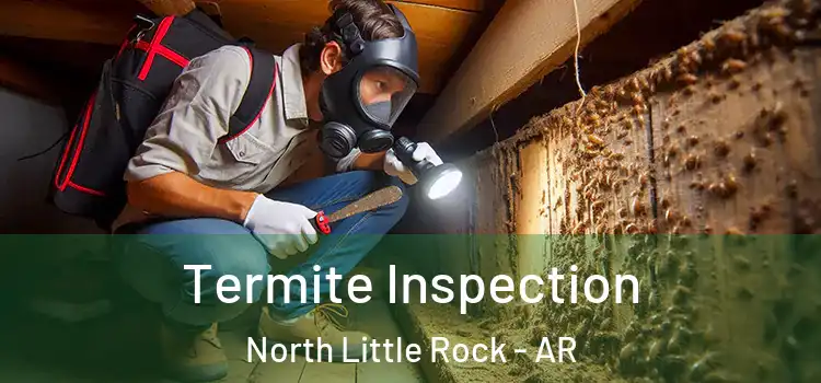  Termite Inspection North Little Rock - AR