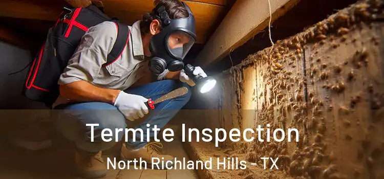  Termite Inspection North Richland Hills - TX