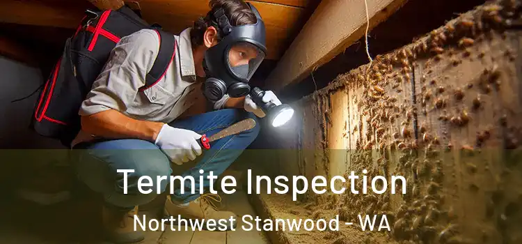  Termite Inspection Northwest Stanwood - WA