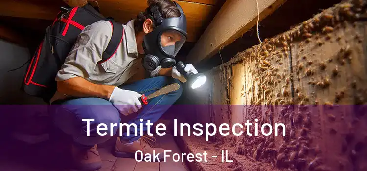  Termite Inspection Oak Forest - IL