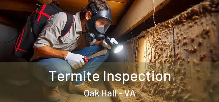 Termite Inspection Oak Hall - VA