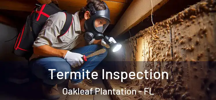  Termite Inspection Oakleaf Plantation - FL