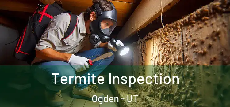  Termite Inspection Ogden - UT