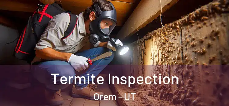  Termite Inspection Orem - UT