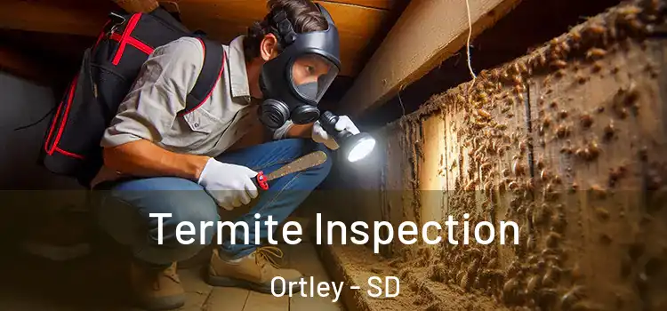  Termite Inspection Ortley - SD