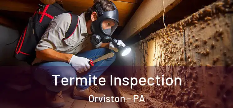  Termite Inspection Orviston - PA