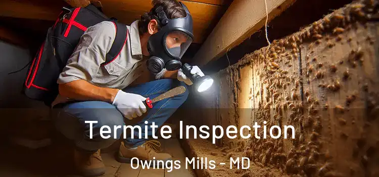  Termite Inspection Owings Mills - MD