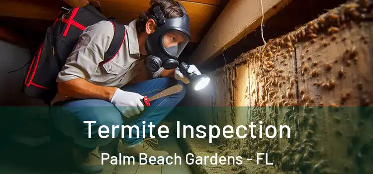  Termite Inspection Palm Beach Gardens - FL