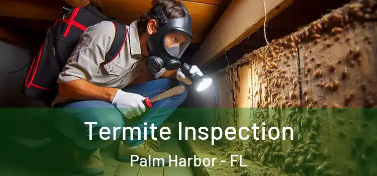  Termite Inspection Palm Harbor - FL