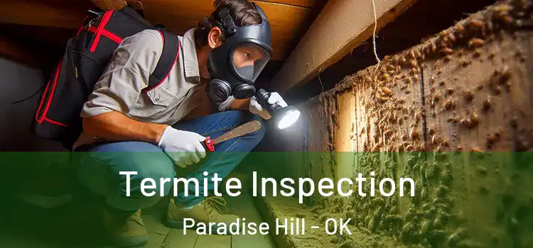  Termite Inspection Paradise Hill - OK