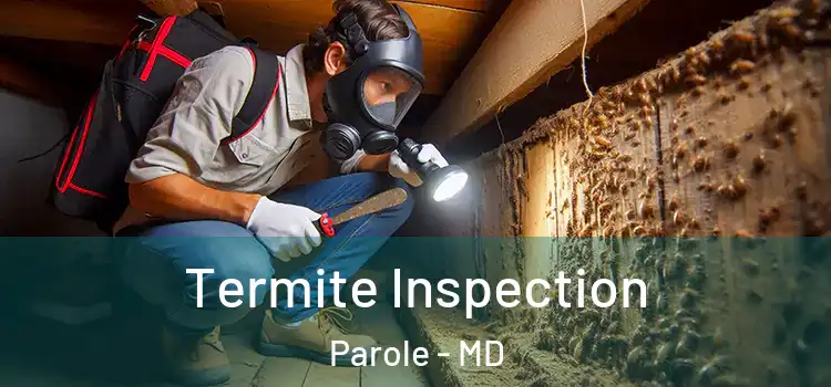 Termite Inspection Parole - MD