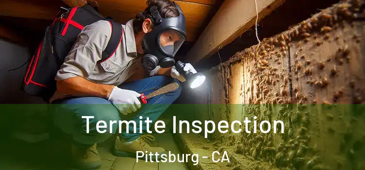  Termite Inspection Pittsburg - CA