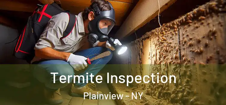  Termite Inspection Plainview - NY