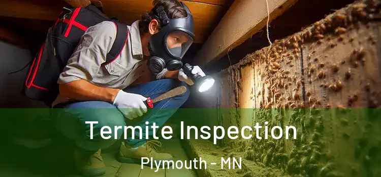  Termite Inspection Plymouth - MN