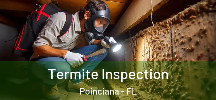  Termite Inspection Poinciana - FL