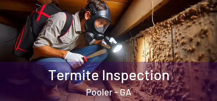 Termite Inspection Pooler - GA