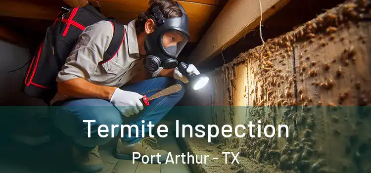 Termite Inspection Port Arthur - TX