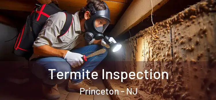  Termite Inspection Princeton - NJ