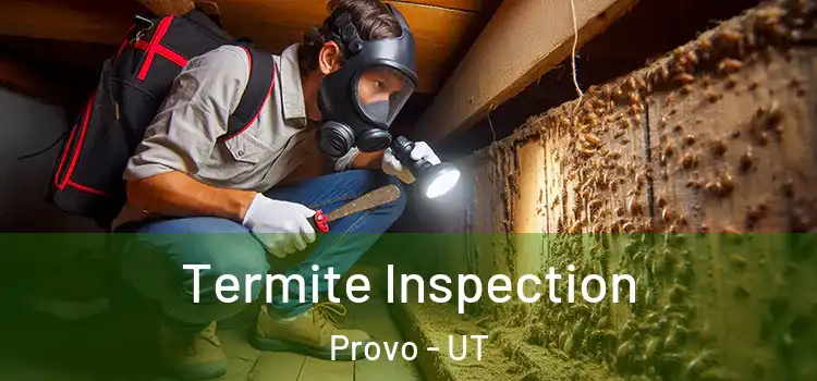  Termite Inspection Provo - UT