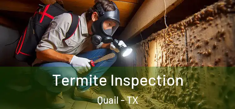  Termite Inspection Quail - TX