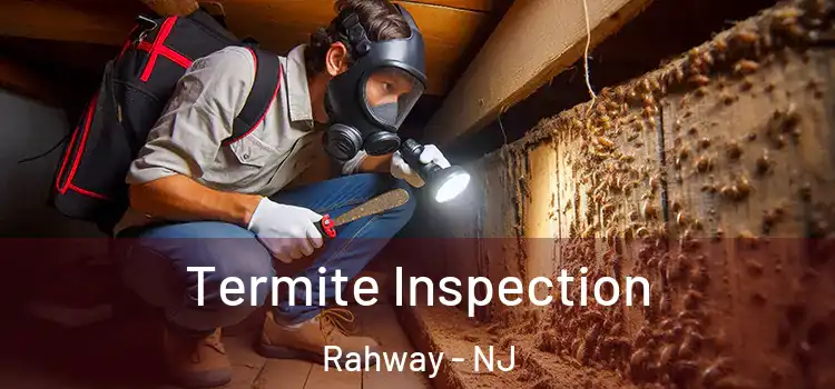  Termite Inspection Rahway - NJ