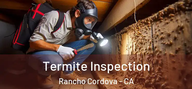  Termite Inspection Rancho Cordova - CA