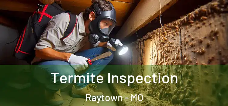  Termite Inspection Raytown - MO
