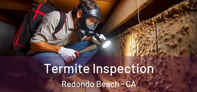  Termite Inspection Redondo Beach - CA